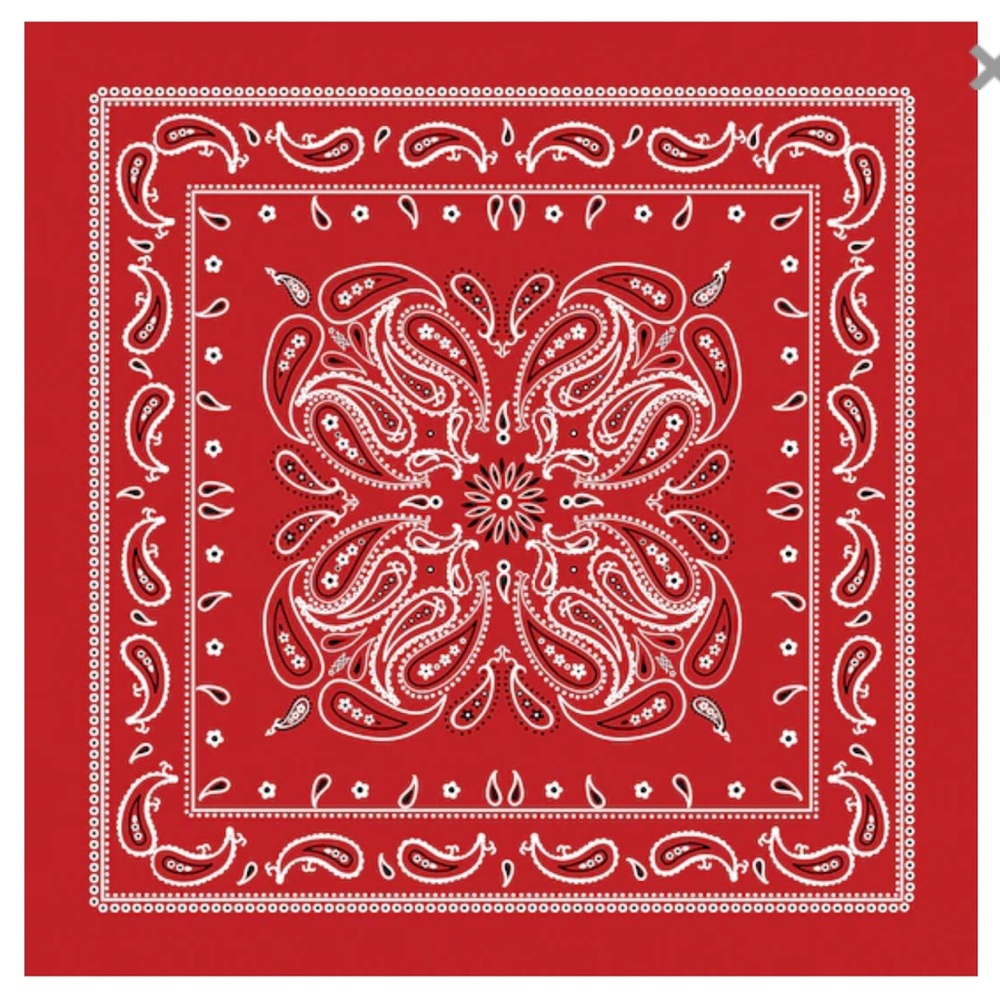 Paisley Bandana